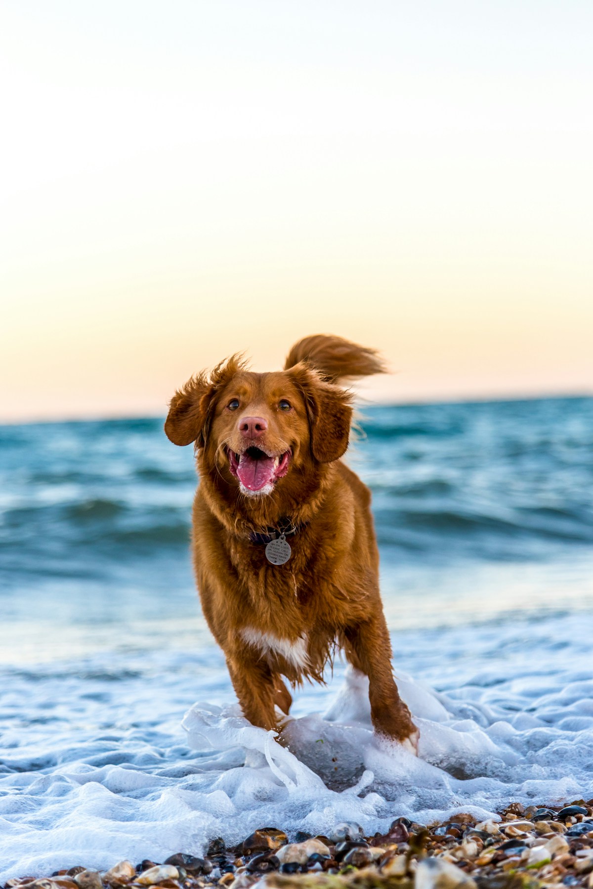 Happy